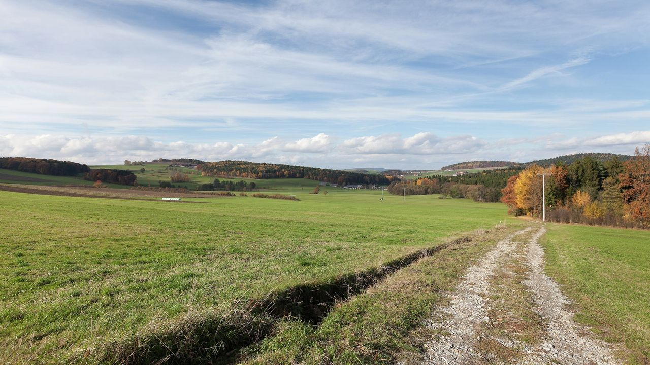 AreaSummer5KM AreaSummer5KM